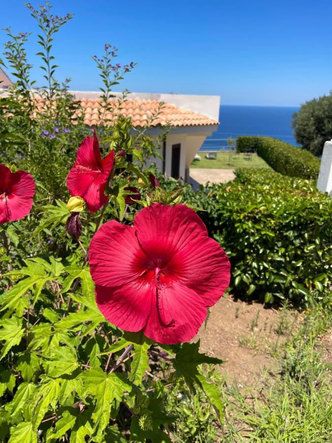 Villa Sofia *Luxury Experience In Calabria 잠브로네 외부 사진